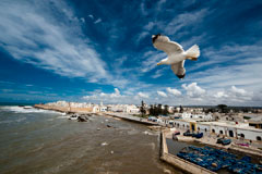 Morocco windsurfing course